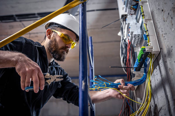 Best Local Electrician Companies  in Pingree Grove, IL