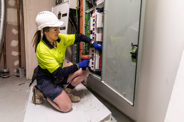 Best Electric Panel Repair  in Pingree Grove, IL