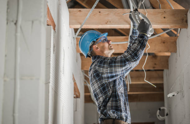 Best Electrical Upgrades for Homes  in Pingree Grove, IL