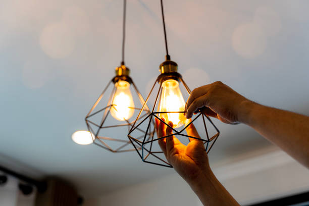 Best Outdoor Lighting Installation  in Pingree Grove, IL