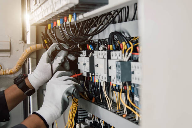 Best 24-Hour Electrician  in Pingree Grove, IL
